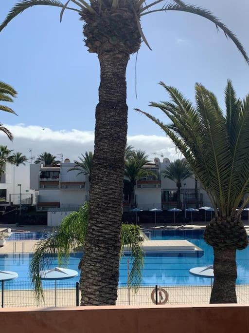 Lovely Apartment With Pool Costa Del Silencio Exteriör bild