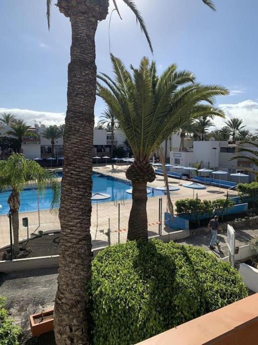 Lovely Apartment With Pool Costa Del Silencio Exteriör bild